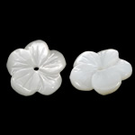 Natürliche weiße Muschelperlen, Blume, geschnitzt, 12x12x2mm, Bohrung:ca. 1mm, 50PCs/Tasche, verkauft von Tasche
