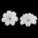 Natürliche weiße Muschelperlen, Blume, geschnitzt, 14.50x14.50x2mm, Bohrung:ca. 0.8mm, 50PCs/Tasche, verkauft von Tasche