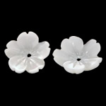 Natural White Shell Beads, Flower, Carved, nickel, lead & cadmium free, 10x10x2.20mm, Hole:Approx 0.5mm, 50PCs/Bag, Sold By Bag
