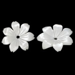 Natürliche weiße Muschelperlen, Blume, geschnitzt, frei von Nickel, Blei & Kadmium, 10x10x2mm, Bohrung:ca. 0.8mm, 50PCs/Tasche, verkauft von Tasche