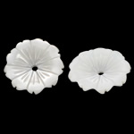 Natural White Shell Beads, Flower, Carved, nickel, lead & cadmium free, 10.50x10.50x2mm, Hole:Approx 0.5mm, 50PCs/Bag, Sold By Bag