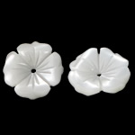 Natürliche weiße Muschelperlen, Blume, geschnitzt, frei von Nickel, Blei & Kadmium, 10.50x10.50x2mm, Bohrung:ca. 0.5mm, 50PCs/Tasche, verkauft von Tasche