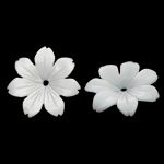 Natürliche weiße Muschelperlen, Blume, geschnitzt, frei von Nickel, Blei & Kadmium, 12x12x1.80mm, Bohrung:ca. 0.5mm, 50PCs/Tasche, verkauft von Tasche