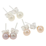 Freshwater Pearl Stud Earring with Brass brass post pin Round silver color plated mixed colors 4.5-5mm Sold By Box