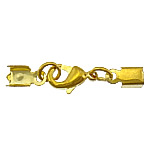 Brass Αστακός Claw Cord Κούμπωμα, Ορείχαλκος, χρώμα επίχρυσο, με την άκρη καλώδιο, νικέλιο, μόλυβδο και κάδμιο ελεύθεροι, 26mm, 7.5x4mm, Εσωτερική διάμετρος:Περίπου 3mm, 300Σετ/Παρτίδα, Sold Με Παρτίδα