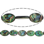 Abalone Shell Beads, Flat Oval, 18x13x4mm, Hole:Approx 1.5mm, Approx 22PCs/Strand, Sold Per Approx 16 Inch Strand
