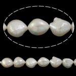 Perla Barroca Freshwater, Perlas cultivadas de agua dulce, Barroco, natural, Blanco, 12-13mm, agujero:aproximado 0.8mm, Vendido para 15.7 Inch Sarta