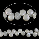 Cultured Coin Freshwater Pearl Beads, Teardrop, natural, white, 14-15mm, Hole:Approx 0.8mm, Sold Per 16.7 Inch Strand