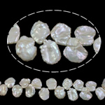 Reborn Cultured Freshwater Pearl Beads, Pérolas de água doce, Keishi, naturais, branco, 15-25mm, Buraco:Aprox 0.8mm, vendido para 15.7 inchaltura Strand