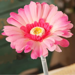 Kunstig blomst Home Decoration, Klud, Flower, lyserød, 600x110mm, 60pc'er/Lot, Solgt af Lot