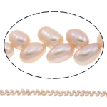 Perlas Arroz Freshwater, Perlas cultivadas de agua dulce, Púrpura, Grado A, 5-6mm, agujero:aproximado 0.8mm, Vendido para 15.7 Inch Sarta