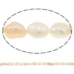 Perles nacres baroques de culture d'eau douce , perle d'eau douce cultivée, 7-8mm, Trou:Environ 0.8mm, Vendu par 15.5 pouce brin