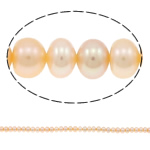 Button Kulturan Slatkovodni Pearl perle, Dugme, prirodan, roze, 6-7mm, Rupa:Približno 0.8-1mm, Prodano Per Približno 15.3 inčni Strand