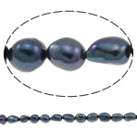Barock kultivierten Süßwassersee Perlen, Natürliche kultivierte Süßwasserperlen, Klumpen, natürlich, schwarz, 10-11mm, Bohrung:ca. 0.8mm, verkauft per ca. 14.5 ZollInch Strang