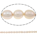 Cultured Rice Freshwater Pearl Beads, natural, purple, Grade AAA, 10-11mm, Hole:Approx 0.8mm, Sold Per 15.5 Inch Strand
