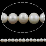 Runde ferskvandskulturperle Beads, Ferskvandsperle, naturlig, hvid, klasse A, 9-10mm, Hole:Ca. 0.8mm, Solgt Per Ca. 15.5 inch Strand