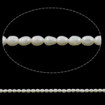 Perlas Arroz Freshwater, Perlas cultivadas de agua dulce, natural, Blanco, Grado A, 2-3mm, agujero:aproximado 0.8mm, Vendido para 15 Inch Sarta