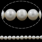 Perles de nacre rondes de culture d'eau douce, perle d'eau douce cultivée, naturel, blanc, grade A, 11-12mm, Trou:Environ 0.8mm, Vendu par 15.5 pouce brin