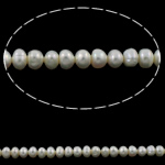 Button Kulturan Slatkovodni Pearl perle, Krumpir, prirodan, bijel, Razred AAA, 5-6mm, Rupa:Približno 0.8mm, Prodano Per 15.5 inčni Strand