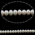 Perlas Botón Freshwater , Perlas cultivadas de agua dulce, Blanco, 9-10mm, agujero:aproximado 0.8mm, Vendido para aproximado 15.5 Inch Sarta