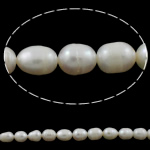 Perlas Arroz Freshwater, Perlas cultivadas de agua dulce, natural, Blanco, Grado A, 8-9mm, agujero:aproximado 0.8mm, Vendido para 15.5 Inch Sarta