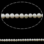 Perlas Redondas Freshwater, Perlas cultivadas de agua dulce, Esférico, natural, Blanco, Grado A, 5-6mm, agujero:aproximado 0.8mm, Vendido para aproximado 14 Inch Sarta