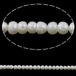 Button Gekweekte Zoetwater Parel kralen, wit, Grade AA, 5-6mm, Gat:Ca 0.8mm, Per verkocht 14.5 inch Strand