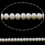 Bouton de culture des perles d'eau douce, perle d'eau douce cultivée, blanc, grade AAA, 4-5mm, Trou:Environ 0.8mm, Vendu par 15.5 pouce brin