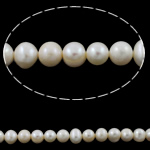 Perles nacres baroques de culture d'eau douce , perle d'eau douce cultivée, pepite, naturel, blanc, 9-10mm, Trou:Environ 0.8mm, Vendu par 14 pouce brin