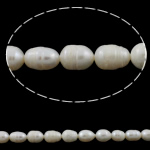 Cultured Rice Freshwater Pearl Beads natural white Grade A 8-9mm Approx 0.8mm Sold Per 15.5 Inch Strand