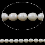 Cultured Rice Freshwater Pearl Beads, natural, white, Grade A, 10-11mm, Hole:Approx 0.8mm, Sold Per 15 Inch Strand