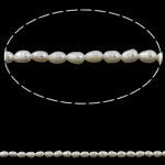 Perlas Arroz Freshwater, Perlas cultivadas de agua dulce, natural, Blanco, Grado A, 3-4mm, agujero:aproximado 0.8mm, Vendido para 15 Inch Sarta