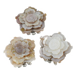 Shell Box Clasp Freshwater Shell with Brass Flower natural  mixed colors Approx 2.5mm Sold By PC