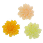 Ρητίνη, Λουλούδι, μικτά χρώματα, 23x23x8mm, 500PCs/τσάντα, Sold Με τσάντα