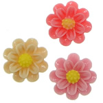 Resin, Flower, flat back, mixed colors, 18x6mm, 500PCs/Bag, Sold By Bag