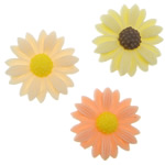 Ρητίνη, Λουλούδι, επίπεδη πλάτη, μικτά χρώματα, 22x5mm, 500PCs/τσάντα, Sold Με τσάντα