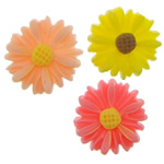 résine, fleur, dos plat, couleurs mélangées, 13x3.50mm, 500PC/sac, Vendu par sac