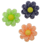 Resin, Flower, flat back, mixed colors, 13x5.50mm, 500PCs/Bag, Sold By Bag