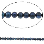 Potatis odlad sötvattenspärla pärlor, Freshwater Pearl, blå svart, 6-7mm, Hål:Ca 0.8mm, Såld Per Ca 15 inch Strand