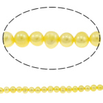 Cultured Potato Freshwater Pearl Beads, yellow, 6-7mm, Hole:Approx 0.8mm, Sold Per Approx 14.5 Inch Strand