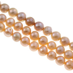 Cultured Potato Freshwater Pearl Beads, natural, stardust, mixed colors, 9-10mm, Hole:Approx 0.8mm, Sold Per Approx 15 Inch Strand