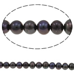 Perles de nacre rondes de culture d'eau douce, perle d'eau douce cultivée, naturel, noire, grade A, 9-10mm, Trou:Environ 0.8mm, Vendu par 15 pouce brin