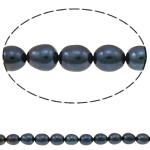 Perlas Arroz Freshwater, Perlas cultivadas de agua dulce, natural, Negro, Grado A, 8-9mm, agujero:aproximado 0.8mm, Vendido para 15 Inch Sarta