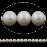 Perlas Redondas Freshwater, Perlas cultivadas de agua dulce, Esférico, natural, Blanco, Grado A, 10-11mm, agujero:aproximado 0.8mm, Vendido para 15.7 Inch Sarta
