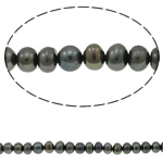 Button Gekweekte Zoetwater Parel kralen, Ronde, donkergroen, 5-6mm, Gat:Ca 0.8mm, Per verkocht 15 inch Strand
