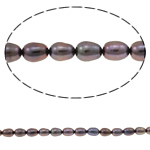 Perlas Arroz Freshwater, Perlas cultivadas de agua dulce, Púrpura, Grado AA, 5-6mm, agujero:aproximado 0.8mm, Vendido para 16 Inch Sarta