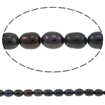 Perlas Arroz Freshwater, Perlas cultivadas de agua dulce, natural, Negro, Grado A, 5-6mm, agujero:aproximado 0.8mm, Vendido para 14.5 Inch Sarta