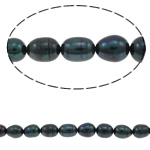 Perlas Arroz Freshwater, Perlas cultivadas de agua dulce, Negro, Grado A, 10-11mm, agujero:aproximado 0.8mm, Vendido para 15.5 Inch Sarta