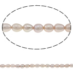 Cultured Rice Freshwater Pearl Beads, natural, purple, Grade A, 4-5mm, Hole:Approx 0.8mm, Sold Per 14.5 Inch Strand