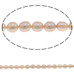 Cultured Rice Freshwater Pearl Beads, natural, pink, Grade A, 4-5mm, Hole:Approx 0.8mm, Sold Per 14.5 Inch Strand